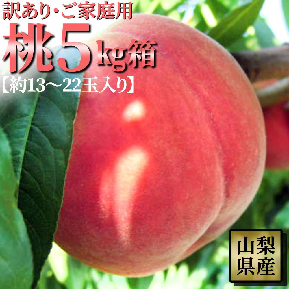 1-⑩山梨県産の桃『赤宝』家庭用20個