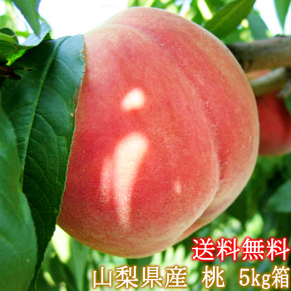 桃の生産量日本一!山梨県産・訳あり桃(わけあり・不揃い)お買い得（大サービス5Kg箱）