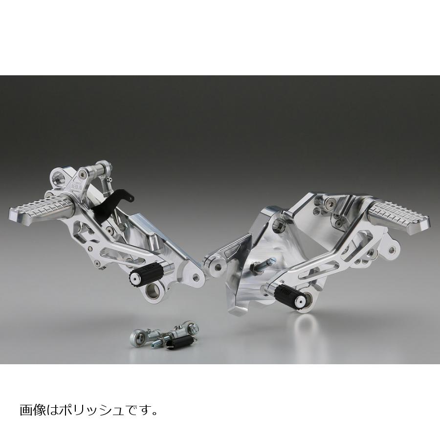 AELLA(アエラ) ライディングステップキット ブラック ドゥカティ ムルティストラーダ1260 AE-10090 BK|バイク・車パーツ プロト