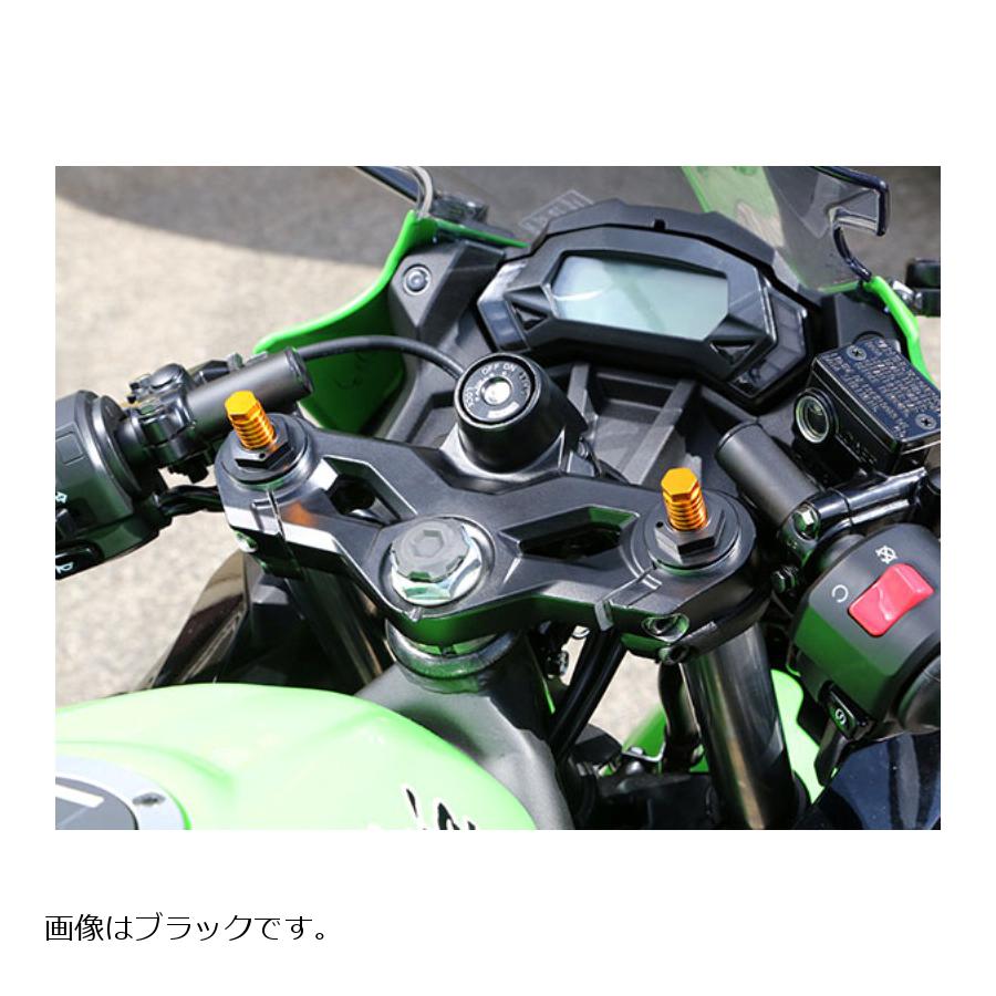 BABY FACE (ベビーフェイス) フロントフォークトップキャップ Ninja250 ニンジャ アルミニウム ブリロードアジャスター:ゴールド キャップ:シルバー 005-K0012SV|バイク・車パーツ プロト