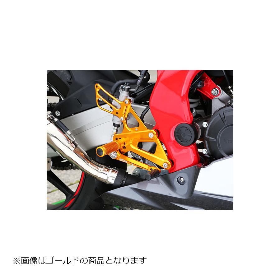 返品?交換対象商品】 ロビーモト ニンジャZX-6R ZX-6R 05-14 バック 