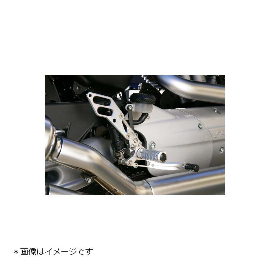 BABYFACE (ベビーフェイス) バックステップ 5ポジション 正/逆チェンジ可能 アルミ シルバー XR1200 002-HD007SV