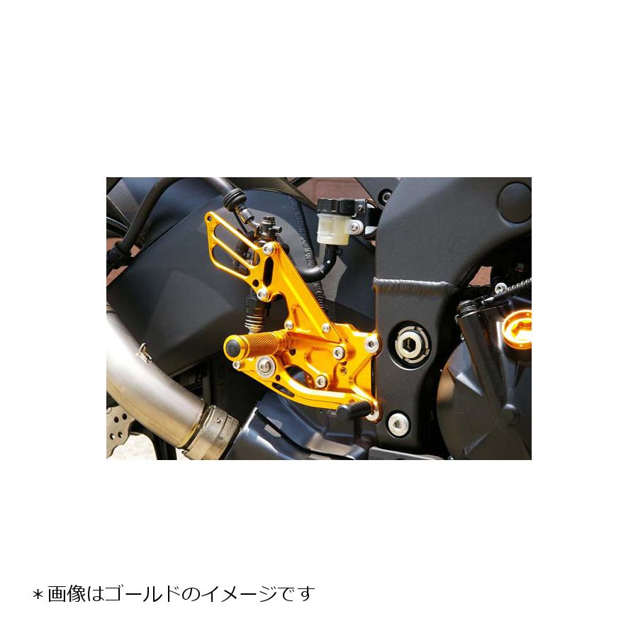 BABY FACE (ベビーフェイス) バックステップ ZX-10R 11ポジション 正/逆チェンジ可能 アルミ シルバー 002-K014SV