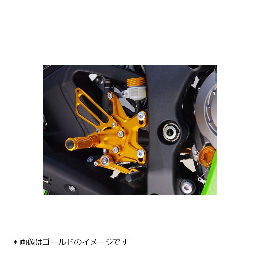 BABY FACE (ベビーフェイス) バックステップ ZX-10R 18ポジション 正チェンジのみ アルミ シルバー 002-K017SV
