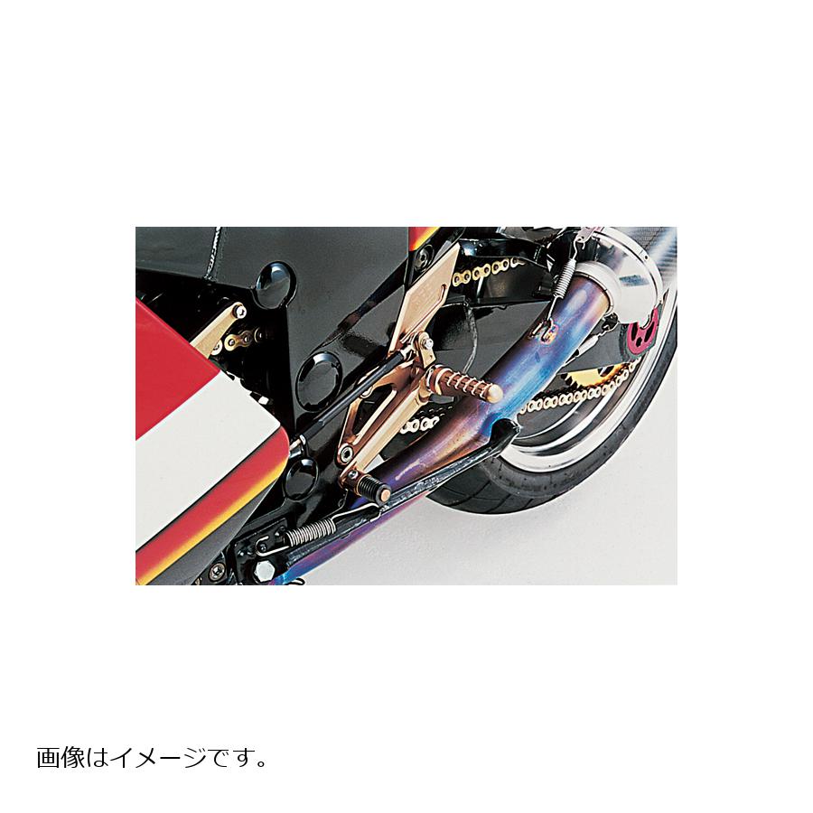 大人気新品 BEET ビート ハイパーバンク 可倒式 シルバー ZZR1100 ZX 0113-K37-20 fucoa.cl