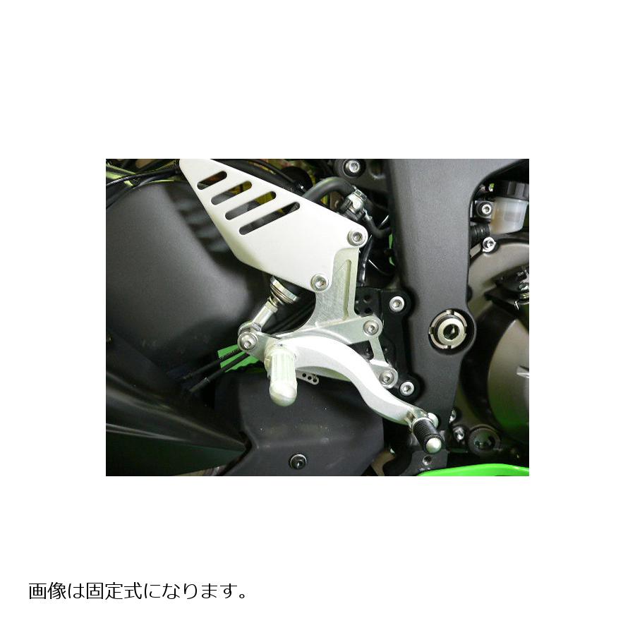 大人の上質 ハイパーバンク 固定式 シルバー BEET ビート ZX-10R 11年