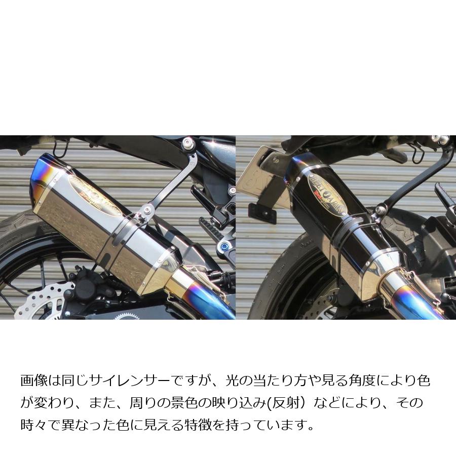 メーカー 0223-KB6-50 ZX-14R チタン デュアル JP店 ヒロチー商事 