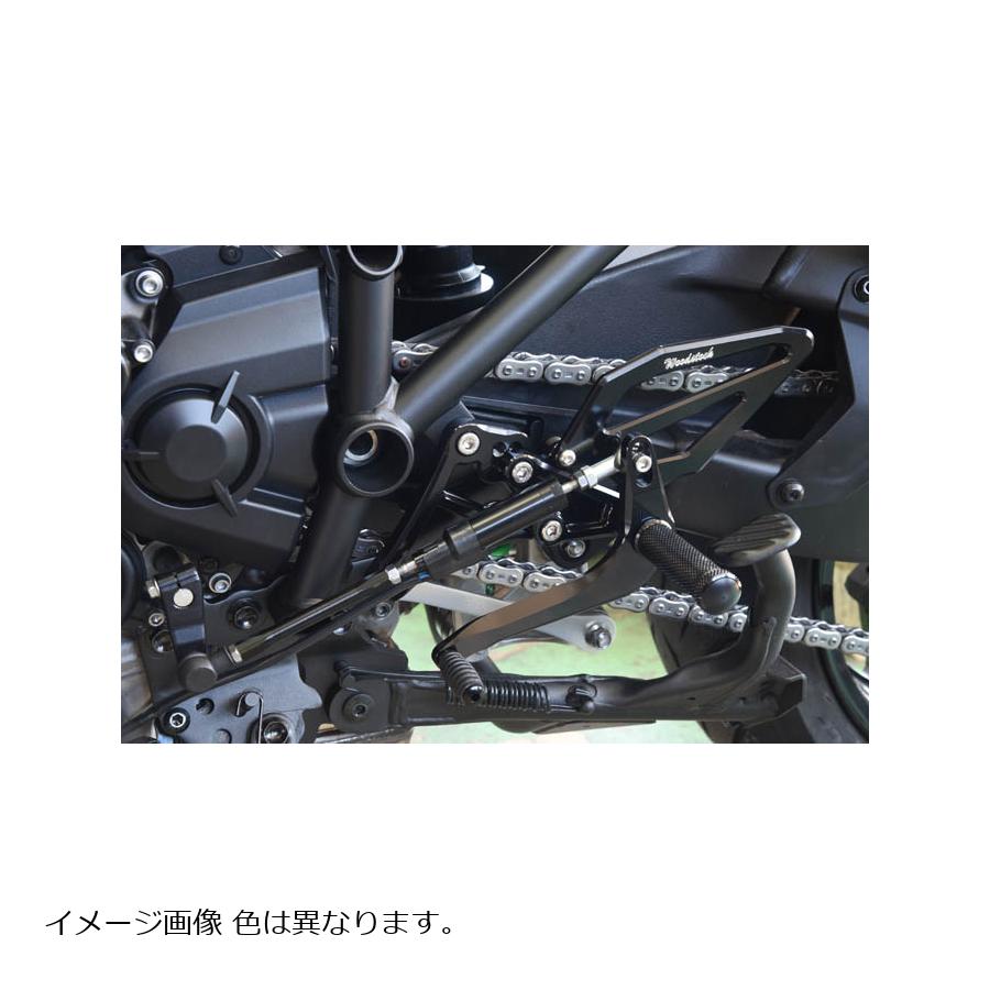 WOODSTOCK (ウッドストック) 逆チェンジキット シルバー H2SX/SX SE 18 RVS-K37-SL