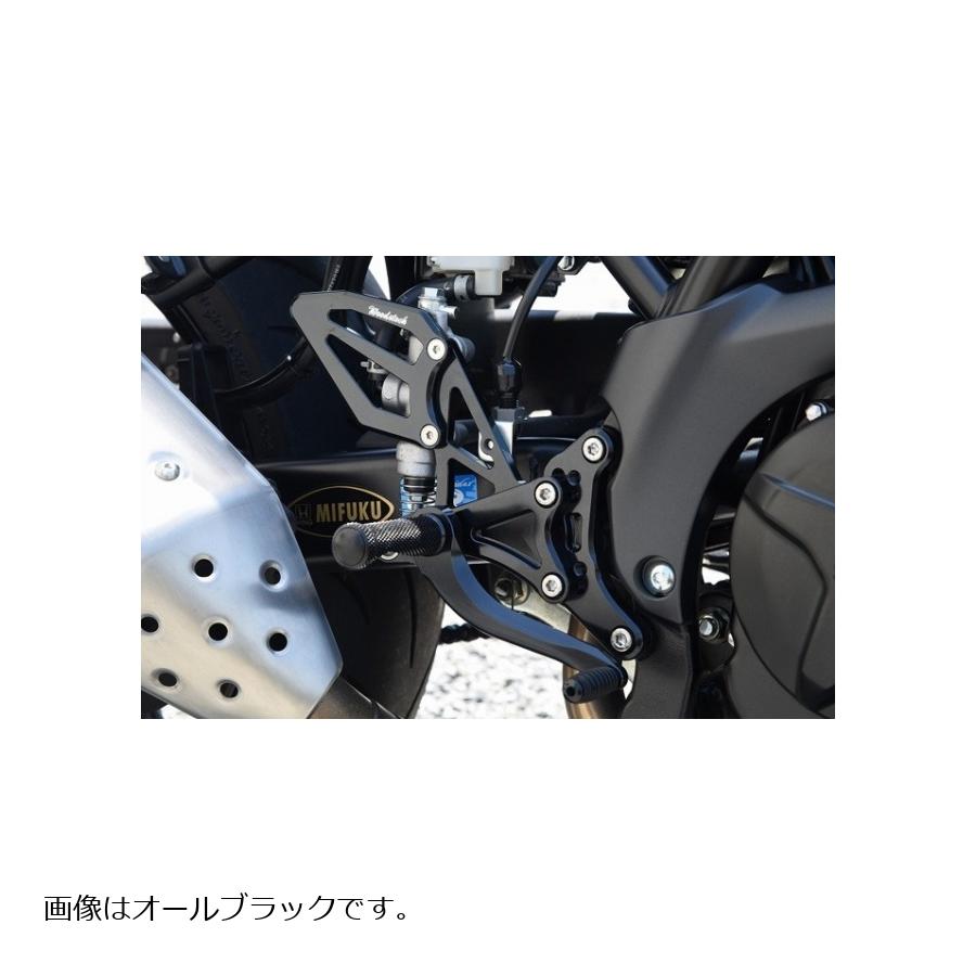 WOODSTOCK (ウッドストック) バックステップキット オールシルバー SV650 ABS WBS-S16-SL