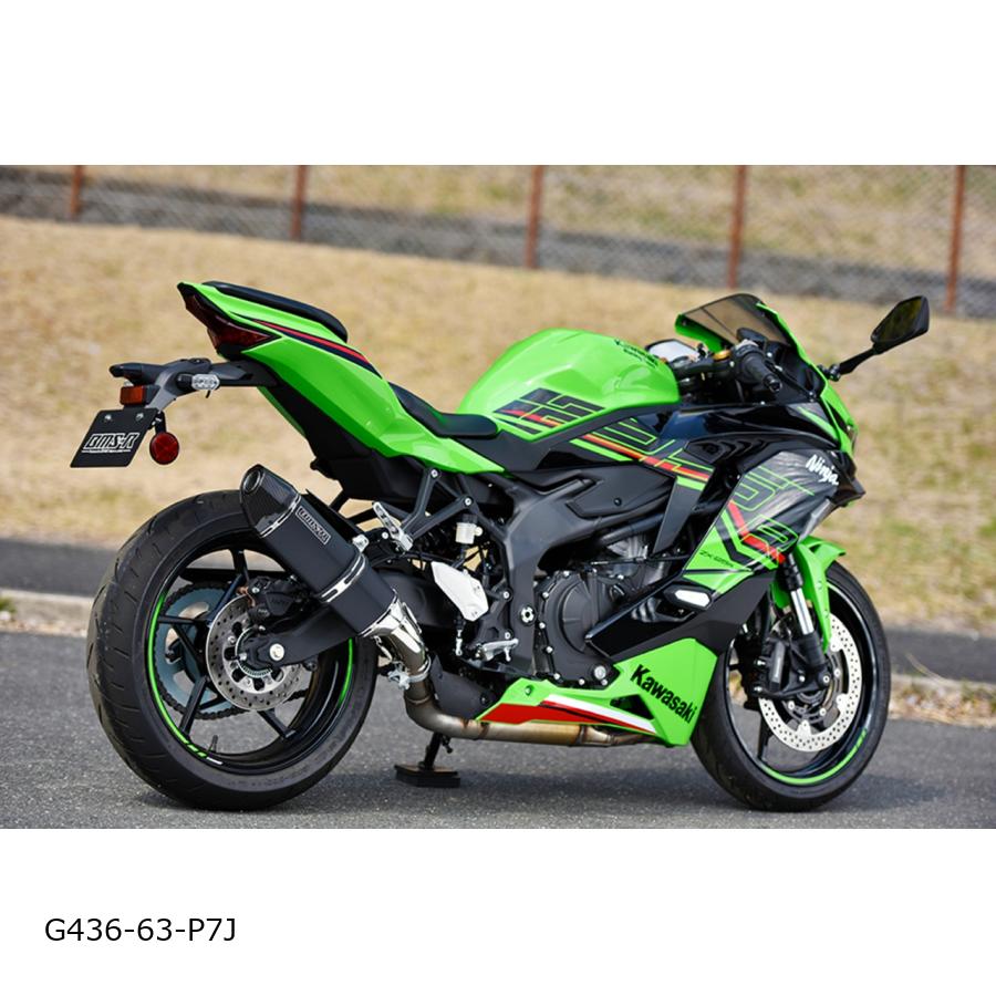 BEAMS (ビームス) CORSA-EVO2 MBK ZX-25R 8BK-ZX250H G436-63-P7J