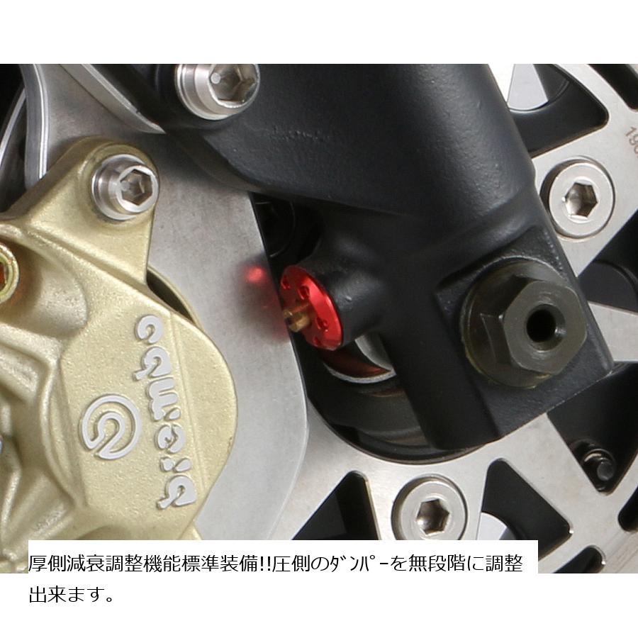 500-0000490 ＤＬＣインナーチューブｃｏｍｐ 30フォーク(X) KITACO 