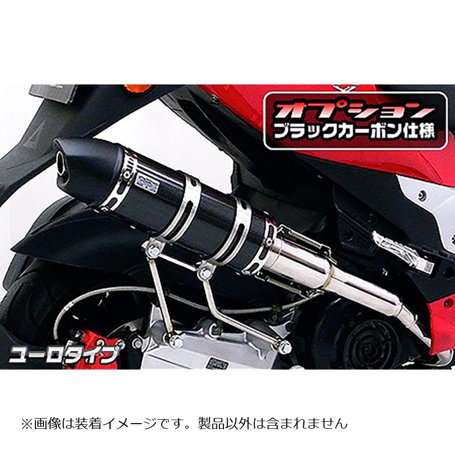 ウイルズウィン ロイヤルマフラー ユーロタイプ ブラックカーボン PGO G-MAX220 562-59-14