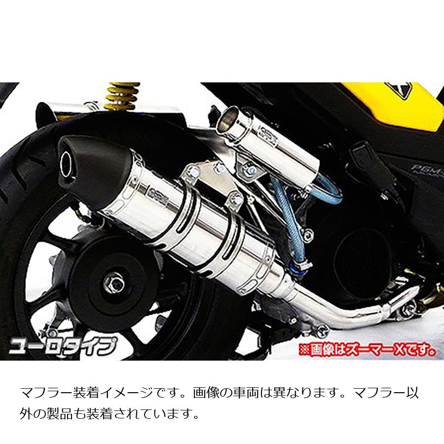 ウイルズウィン ロイヤルマフラー/ユーロ Mio125i・Mio127RR 1342-59-04