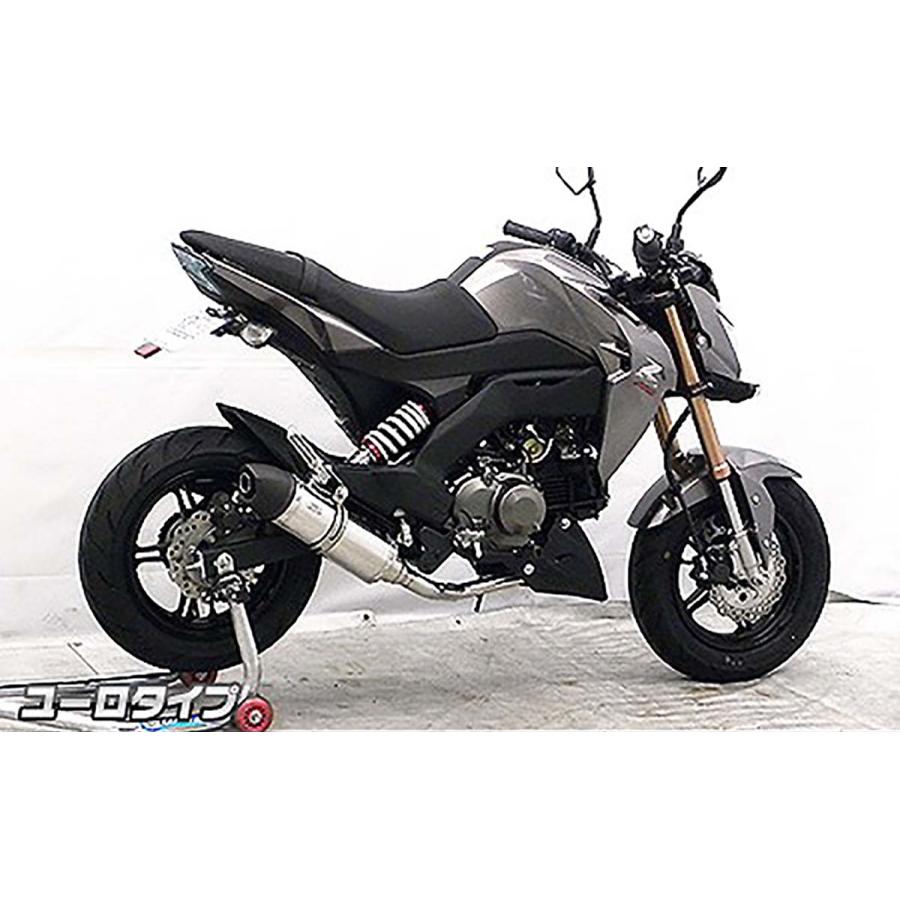 ウイルズウィン ロイヤルマフラー/ユーロ フルEX Z125 PRO 1732-59-04