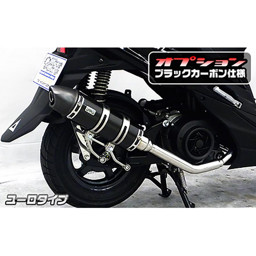 ウイルズウィン ロイヤルマフラー ユーロ ブラックカーボン スウィッシュ 2BJ-DV12B 2062-59-24