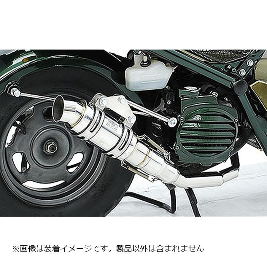 ウイルズウィン ハイパフォーマンスマフラー ZOOMER AF58 872-18-01
