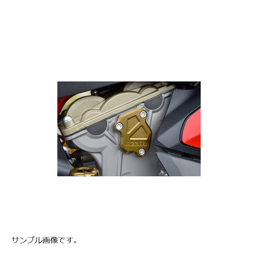 驚きの価格が実現 Agras アグラス カムサイドキャップ レッド 1199 Panigale パニガーレ Www Hffotoblog Com