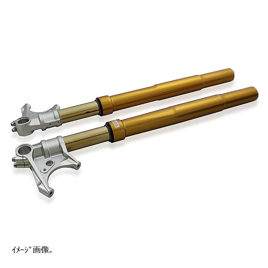 OHLINS (オーリンズ) フロントフォーク FGRT BMW R nineT FGRT226