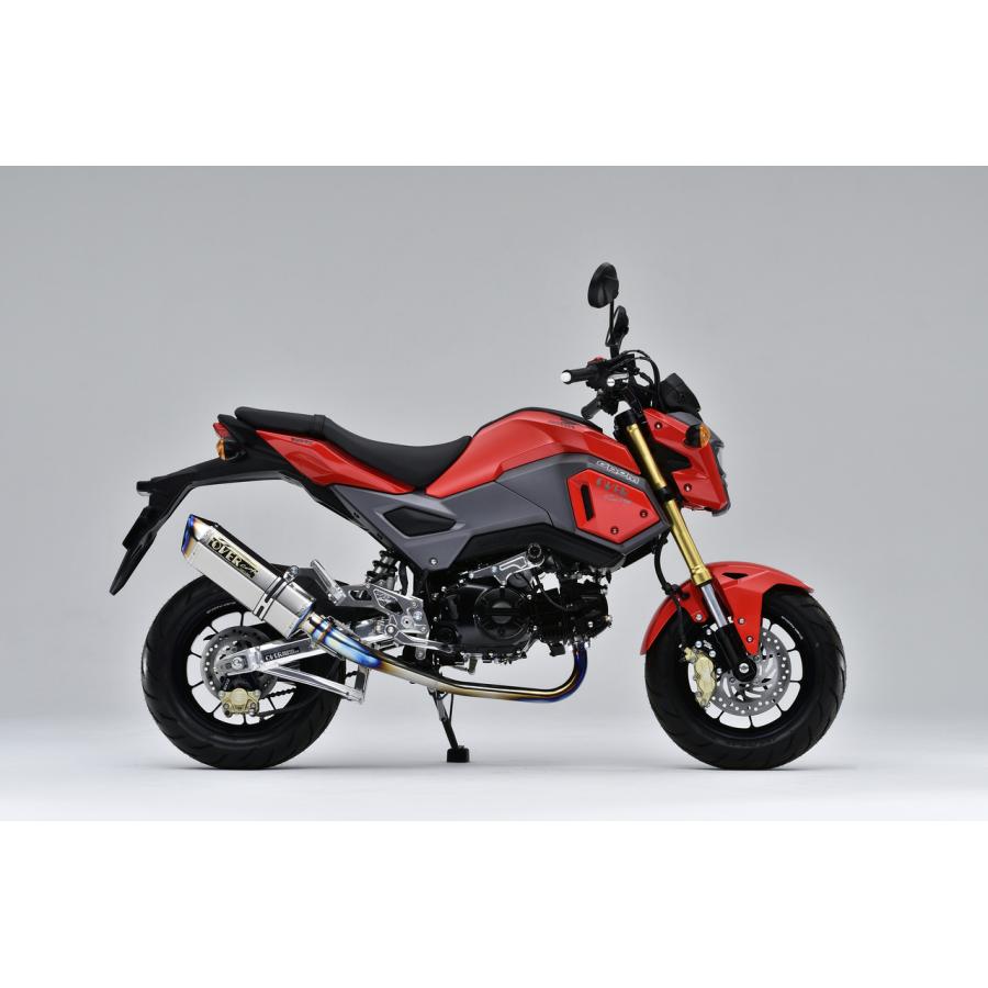 OVER RACING(オーバーレーシング) TT-Formula RS フルチタン 政府認証 GROM グロム オーヴァーレーシング