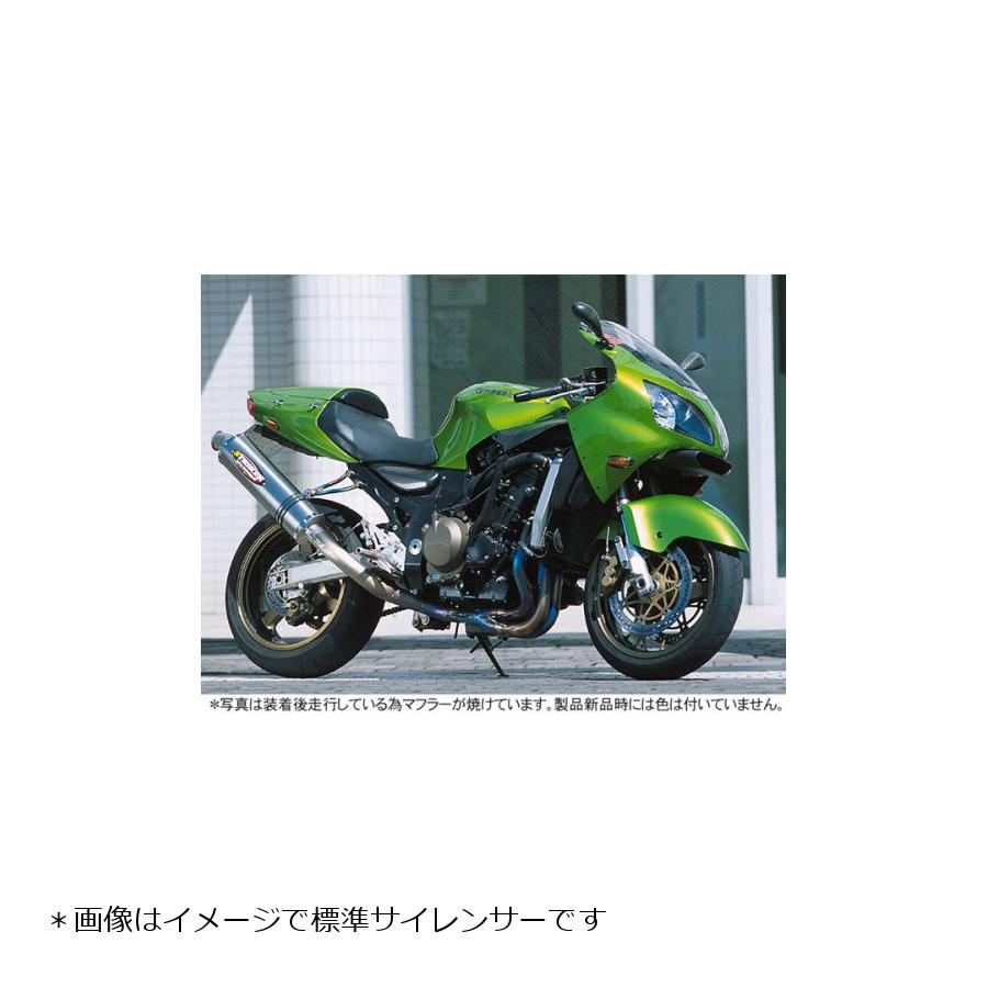 STRIKER(ストライカー) レーシングコンセプト チタン/ミラー ZX-12R