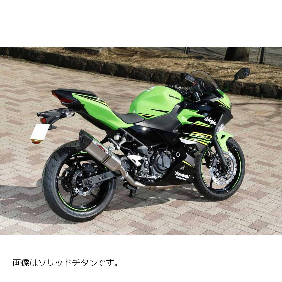 ストライカー スリップオン マフラー サイレンサー EX250LE ニンジャ