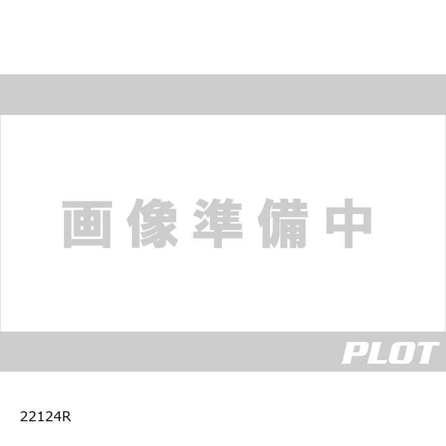 Puig (プーチ) アシャスタブルブレーキペダル レッド Z900/ Z900SE 22124R