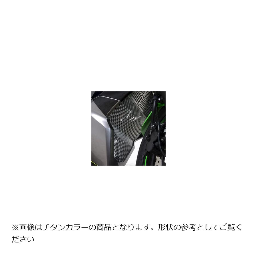 R&G (アールアンドジー) ダウンパイプグリルガード グリーン KAWASAKI Ninja125 ニンジャ125 RG-DG0029GR