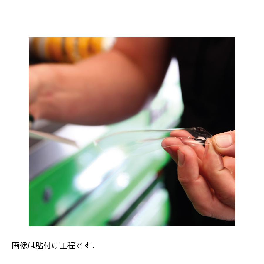 R&G (アールアンドジー ) セカンドスキン BMW S1000R RG-SCPBMW014