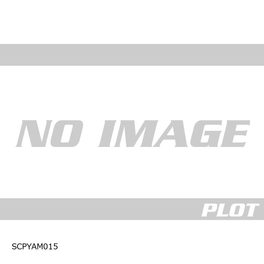 R&G (アールアンドジー ) セカンドスキン YZF-R7 RG-SCPYAM015