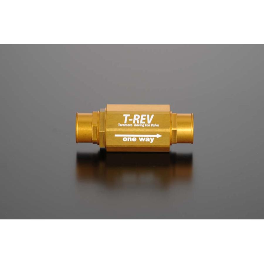 テラモト T-REV φ22/ゴールド 0.07mm 1235