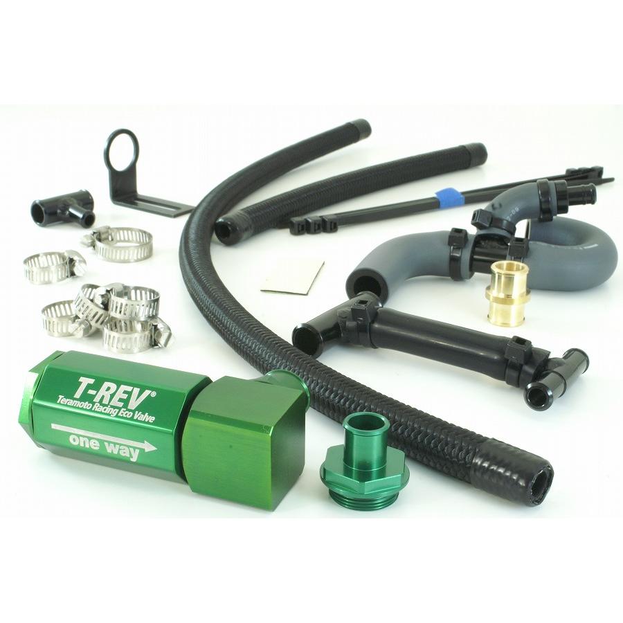 テラモト T-REV αシステム グリーン ZRX1200R/S 4790