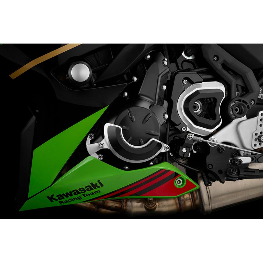 BIKERS (バイカーズ) エンジンガード 左側 シルバー ニンジャ650 Ninja650/Z650 K0381-SLV