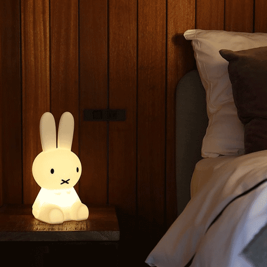 \u003cBR\u003eMr Maria FIRST LIGHT miffy and friends/Miffy\u003cBR\u003eコードレス\u003cBR\u003eLED\u003cBR\u003eUSB有線テレビ申し受ける式\u003cBR\u003e6座標軸で調光\u003cBR\u003e間接的な行動点火装置\u003cBR\u003eナイト爵点火装置\u003cBR\u003e成年者の室内装飾\u003cBR\u003e差し上げ物 差し上げ物\u003cBR\u003e貨物輸送無料