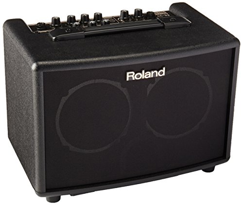 最大80％オフ！ Roland ローランド アコースティック ギター アンプ