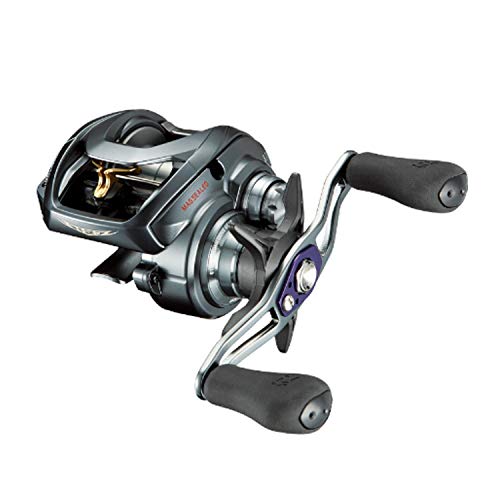 SALE／96%OFF】 ダイワ DAIWA ベイトリール 17 スティーズ A TW