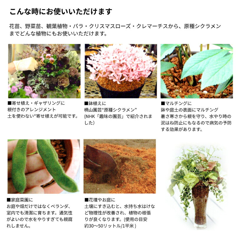 ベラボン プレミアム 用土 肥料 拡大鏡 最高級ヤシの実チップ 立水栓 50リットル エクステリア通販プルーマガーデンヤシの実チップ3mmチップ状にしたコンポスト 土の代わりに100 Ok 環境にやさしいエコ商品です ベラボン プレミアム 用土 肥料 拡大鏡 最高級ヤシの実チップ 立水栓 50リットル エクステリア通販プルーマガーデンヤシの実チップ3mmチップ状にしたコンポスト 土の代わりに100 Ok 環境にやさしいエコ商品です