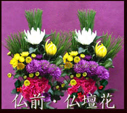 元の喪中 正月 仏壇 花 すべての美しい花の画像