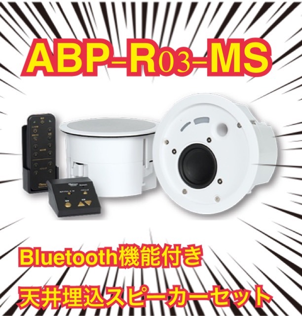 憧れ 卸直営 ABP-R03-MS Abaniact アバニアクト Bluetooth天井埋込スピーカーセット aldricus.com aldricus.com