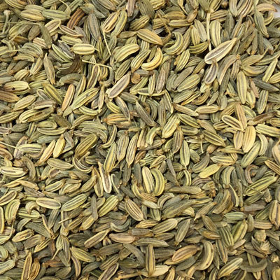 楽天市場 送料無料 フェンネル 50g Plus Herb ハーブティー プラスハーブ 楽天市場店 楽天市場 送料無料 フェンネル 50g Plus Herb ハーブティー プラスハーブ 楽天市場店