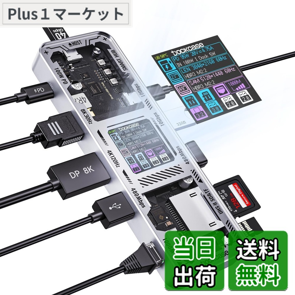 【送料無料】DOCKCASE 10-in-1 usb c ハブ スケルトン設計、4K@60Hz HDMI＆DP、Gigabit Ethernet、USB-CとUSB-A 10Gbpsデータポート搭載、100w PD急速充電、UHS-II TF/SDスロット MacBook Air/Pro, XPSなど対応 (Silver)