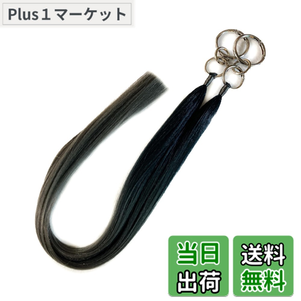 【送料無料】エクステリング リングエクステ ツインテール仕様 カラーバリエーション2 Styledock 色：黒xダークシルバー