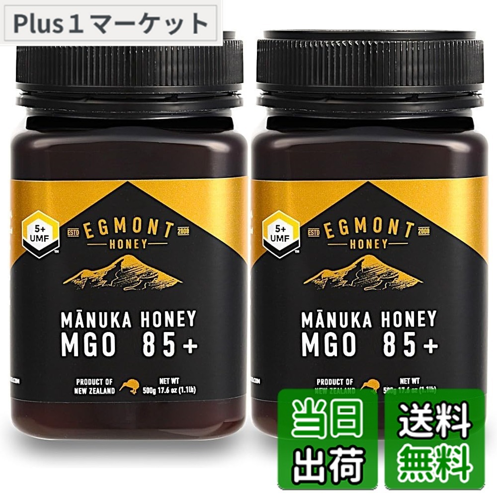 【送料無料】エグモントハニー マヌカハニー UMF5+/MGO85+ ニュージーランド産生はちみつ 個装箱入り サイズ：500グラム (x 2)