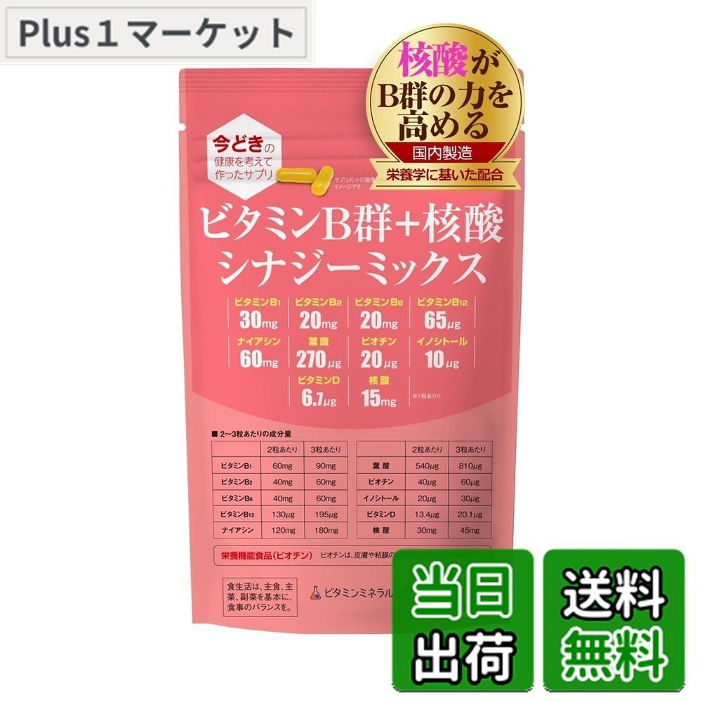 【送料無料】ビタミンB群+核酸 シナジーミックス サイズ:1袋
