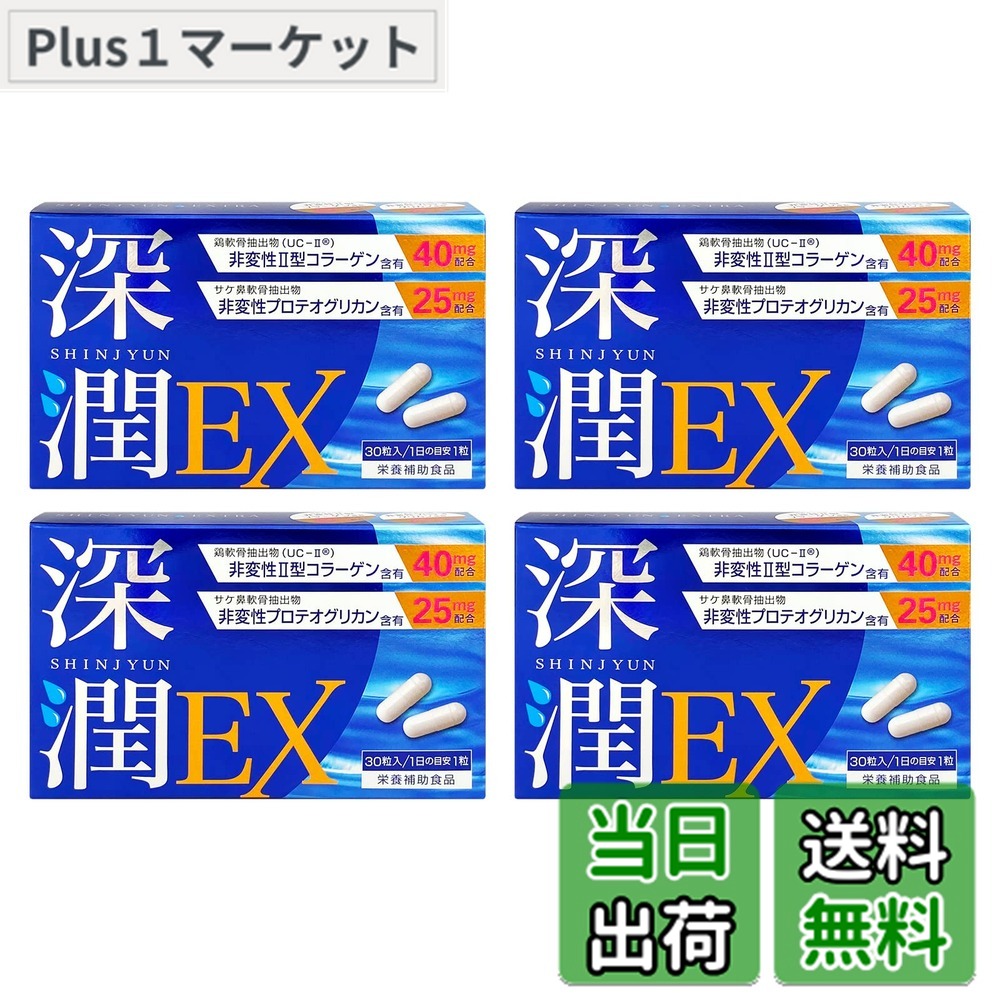 【貨物輸送無料】【軟骨構成要素2種】深潤EX プロテオグリカン（3,000瓱/120日）非変性 2型 コラーゲン（4,800瓱/120日）高練り合わせる 膝 骨っぷし サプリ 1日1粒 120粒入 国内生み出すこと PRO GRADE FORMULA サプリメント-ダイエット・健康-コラーゲン