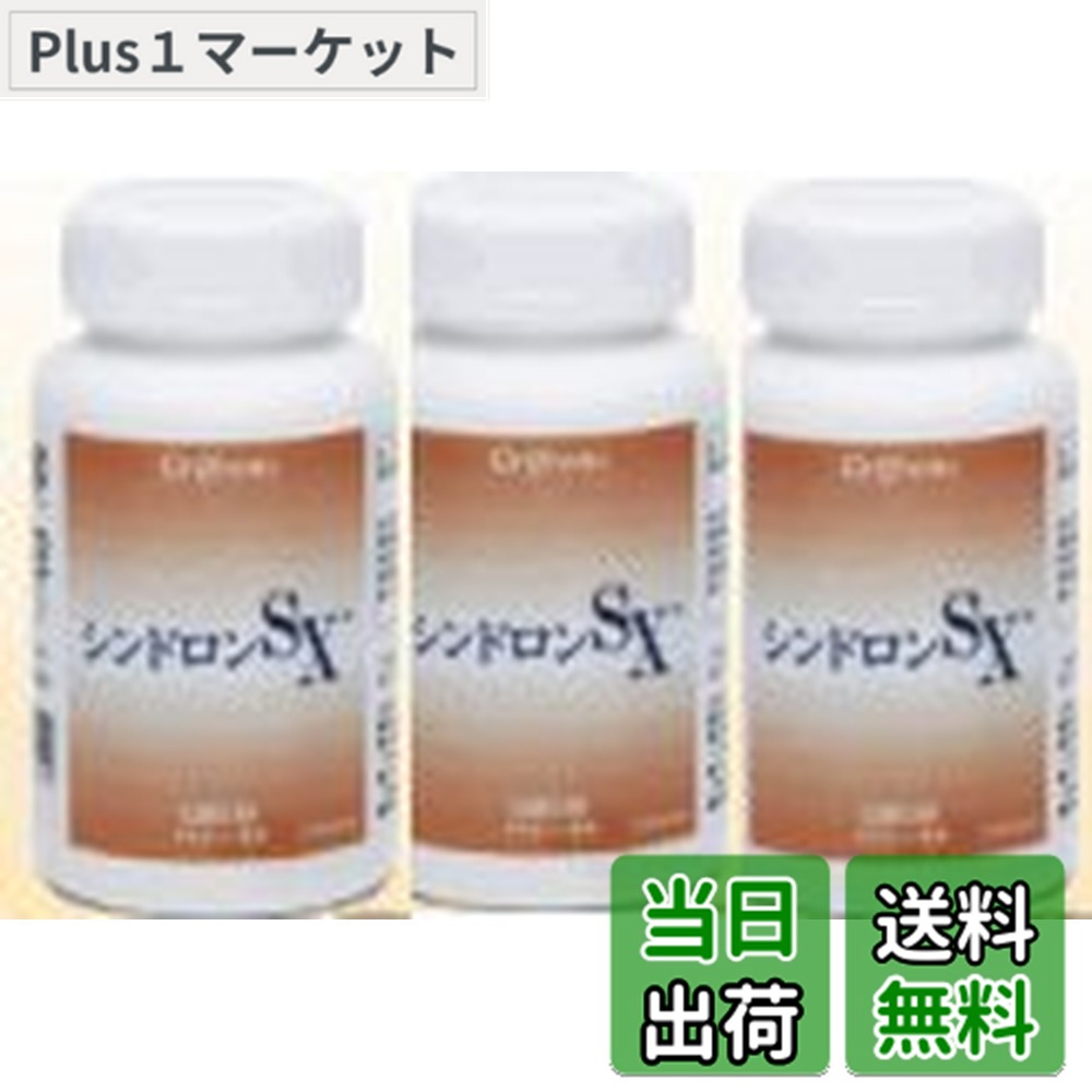 【貨物輸送無料】シンドロンSX 3本仕掛ける