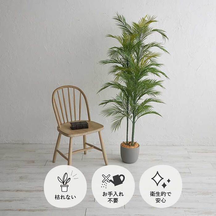 観葉植物 アレカヤシ 170センチ ミニ コンパクト 屋内 リアル お手入れ不要 鉢植え 光触媒加工 消臭効果 抗菌効果 防臭 ボタニカル ガーデニング 室内 グリーン お洒落 おしゃれ 北欧 リゾート 南国|PLUS ONE KAGU 店
