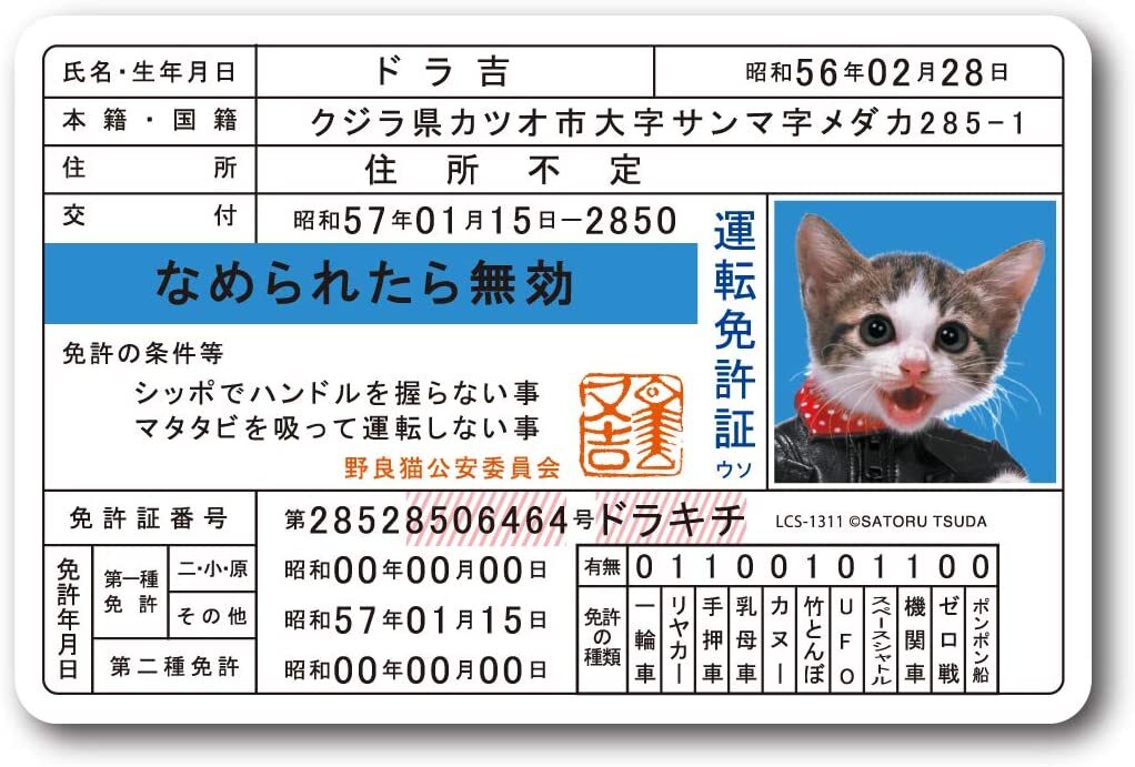 仮面ライダーカード　ウルトラマンカード　なめ猫免許証 Amazon.co.jp: なめ猫免許証 なめんなよ 昭和レトロ カード