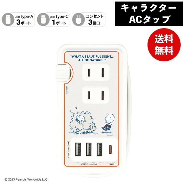 メール便送料無料 ピーナッツUSB/USB Type-C付き ACタップ チャーリー・ブラウン SNGG-31B スヌーピー グルマンディーズ 電源タップ コンセント スマホ ACアダプタ AC充電器 ACプラグ USB 充電 プレゼント ギフト
