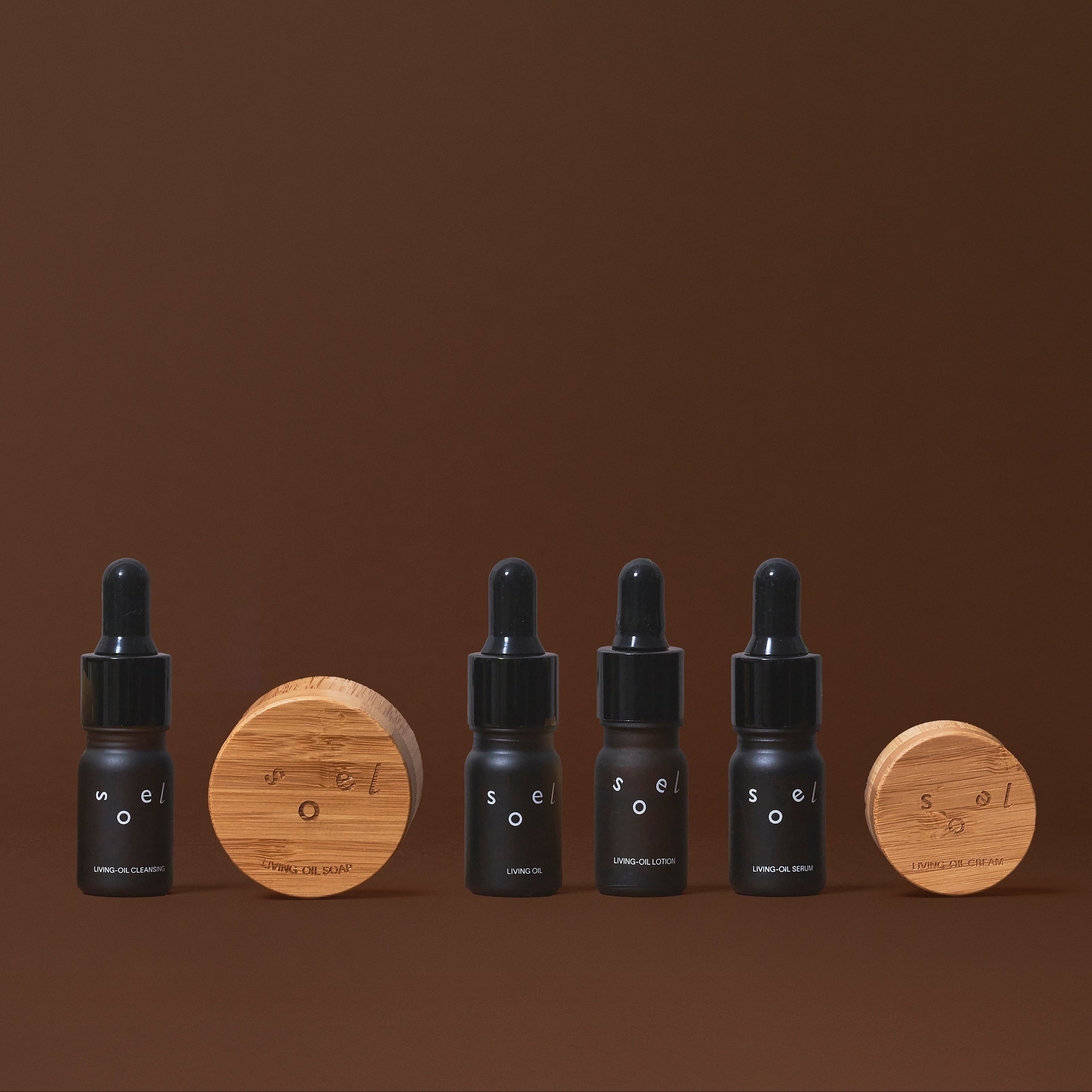 楽天市場】【☆送料無料☆】Moisteane モイスティーヌ スターター