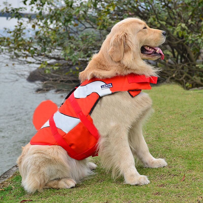 楽天市場 送料無料ペット用 服 犬 愛犬 ペット ペット用品 ライフジャケット ドッグウェア ドッグウエア 水遊び 水 川 海 湖 キャンプ スポーツ スポーティ 春 夏 コスプレ 魚 お魚 サメ 鯉 コイ 小型犬 中型犬 大型犬 わんちゃん ねこちゃん 猫 イ Plus